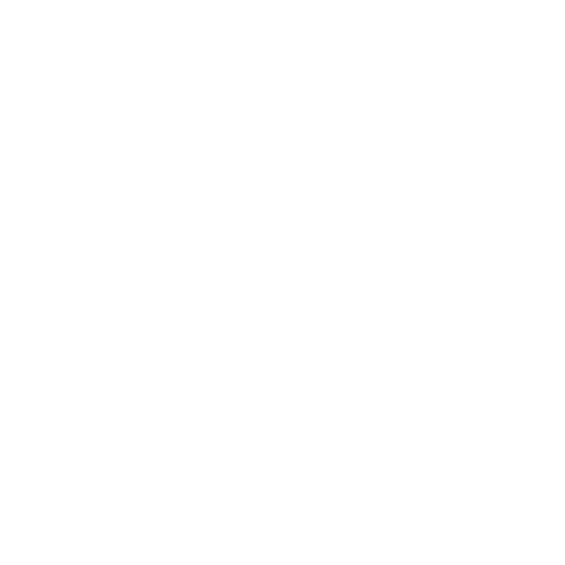 3:1 Partnership