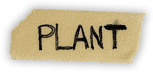 plant